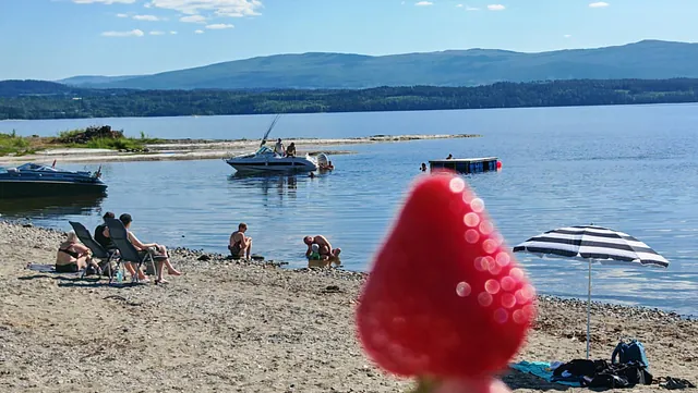 Mennesker på strand med båt på havet og jordbær i forgrunnen